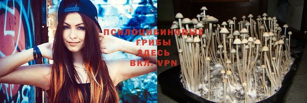 меф Каменск-Шахтинский
