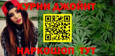 индика Ирбит