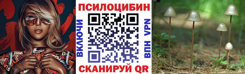 даркнет официальный сайт Южноуральск Галлюциногенные грибы Psilocybine cubensis blacksprut вход