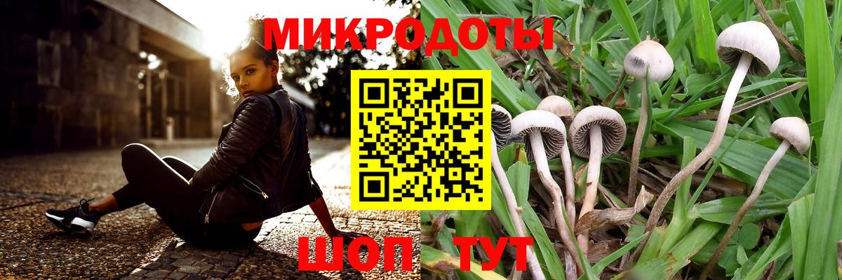 Галлюциногенные грибы Cubensis Южноуральск